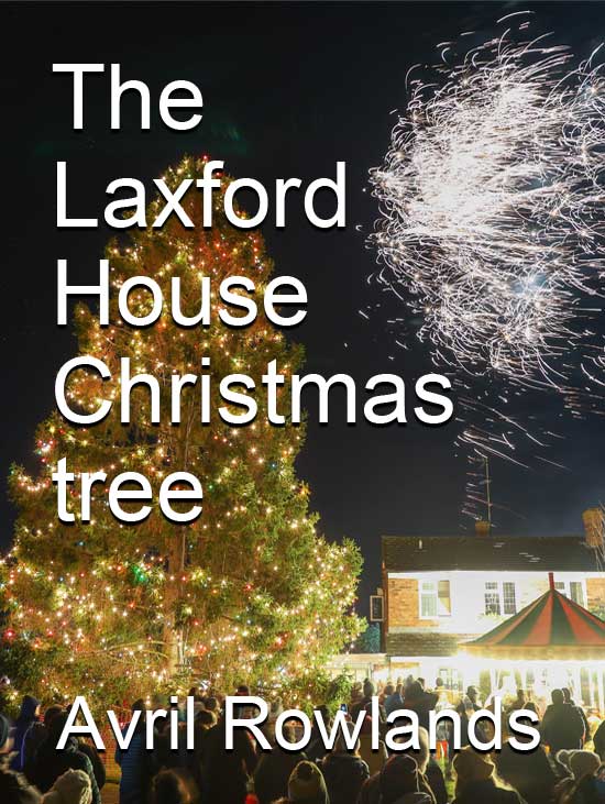 The Laxford House Christmas Tree book cover
